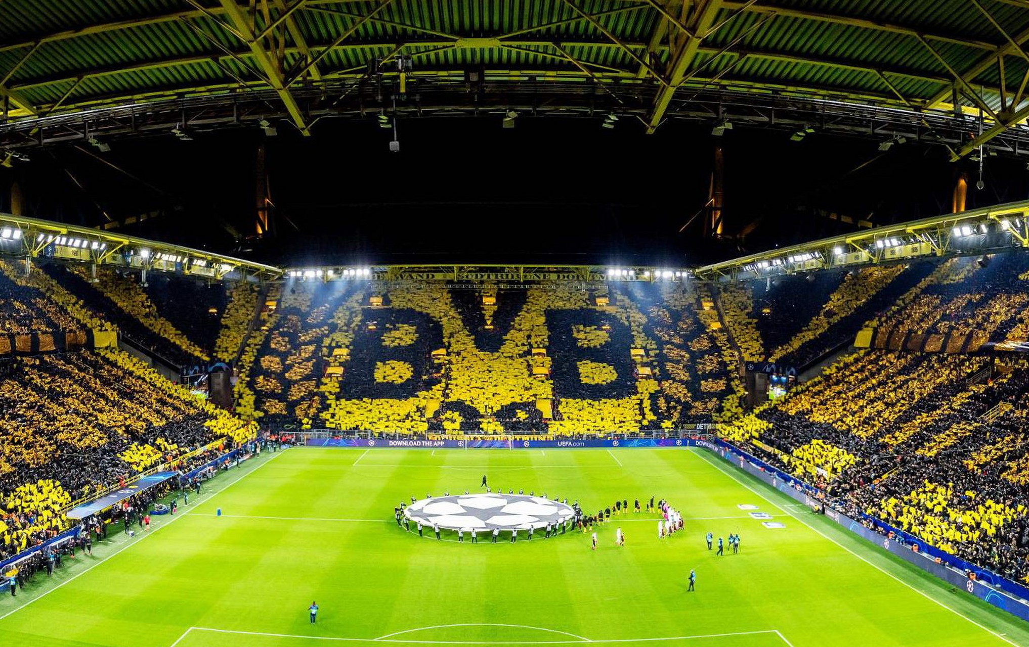 华体会馆-黄蜂连续主场取胜，气势如虹