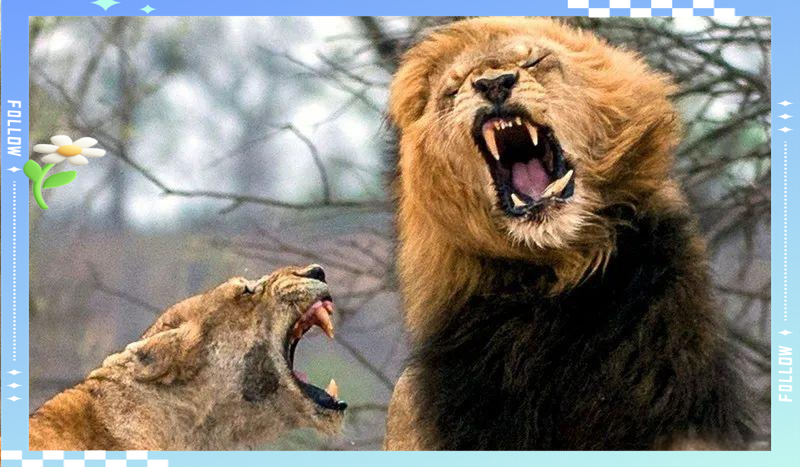 华体会网站入口-紧张刺激的对决，胜者笑到最后