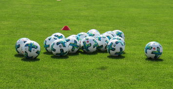 华体会app下载-霍芬海姆客场失利，欧战目标渐行遥远