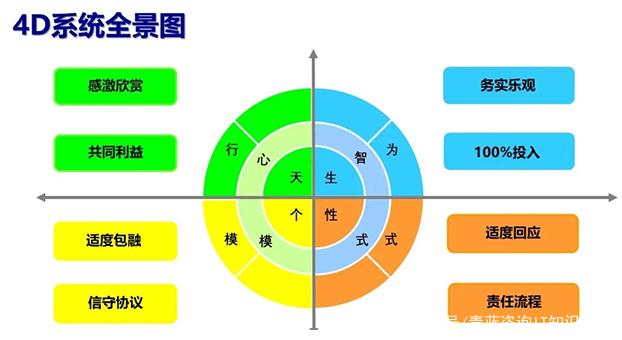 卓越发挥，领队引导球队走向成功